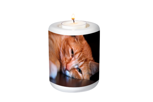Memorial candle holder for pets